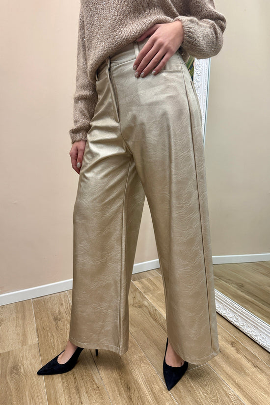 Pantalone Giusi metal - PLATINO